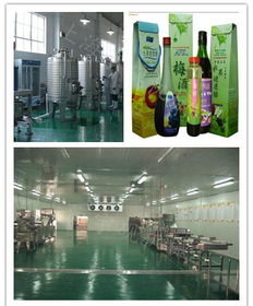 果酒 果醋饮品生产设备 上海 上海市 奉贤区